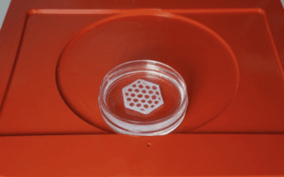 Allevi AND Lonza collaborate on new bioink development