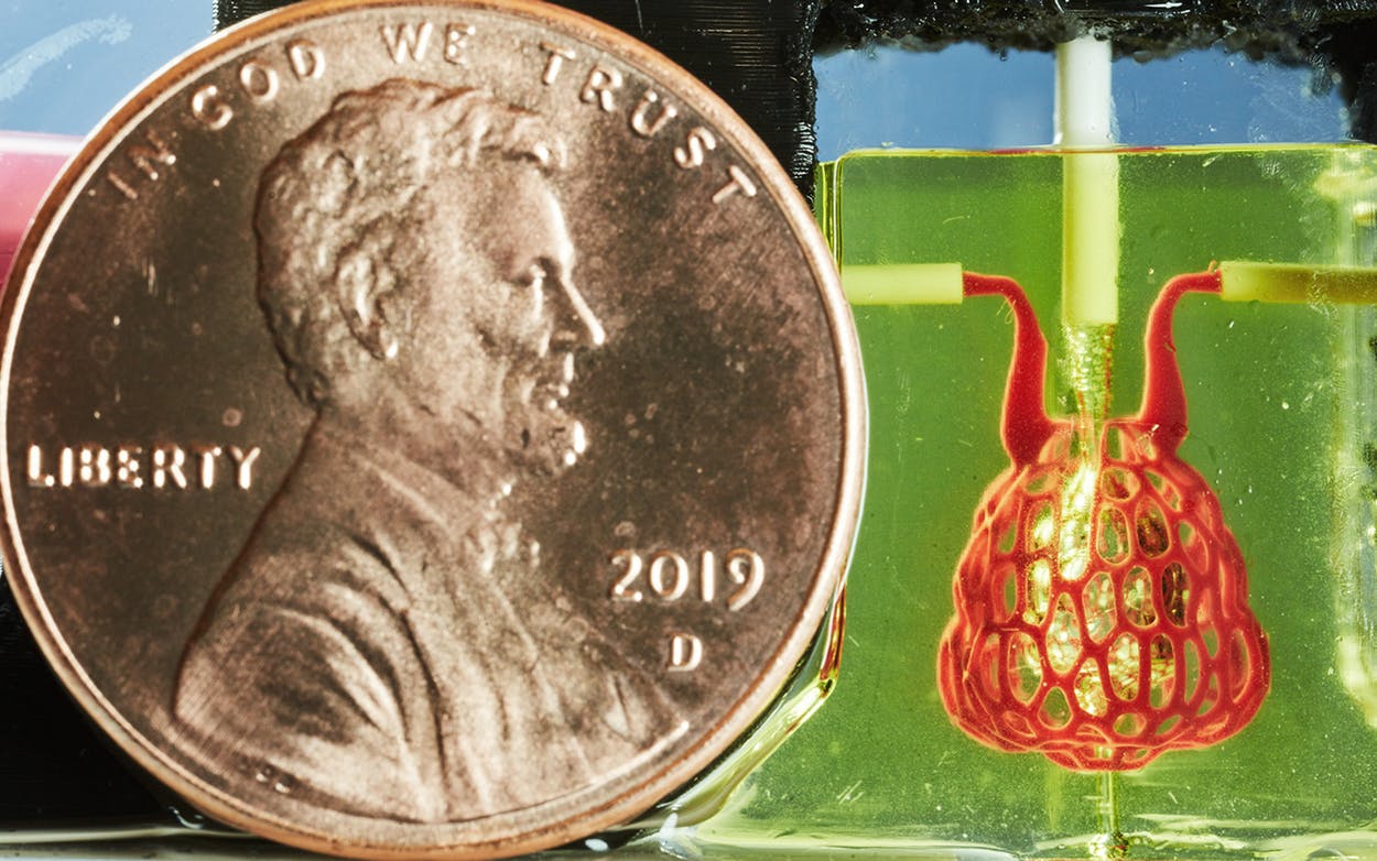 3-D Printing Human Organs? A Rice Professor’s Breakthrough Inspired by Bird Lungs and Fish Gills