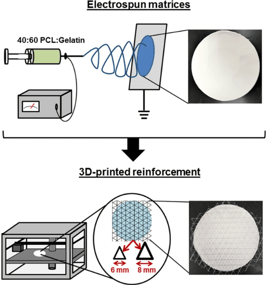 Electrospun Scaffolds: Enhancements via 3D Printed Mesh Reinforcements