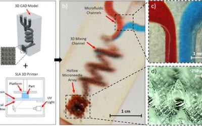 SLA 3D Printing For Microneedle Transdermal Drug Delivery Systems