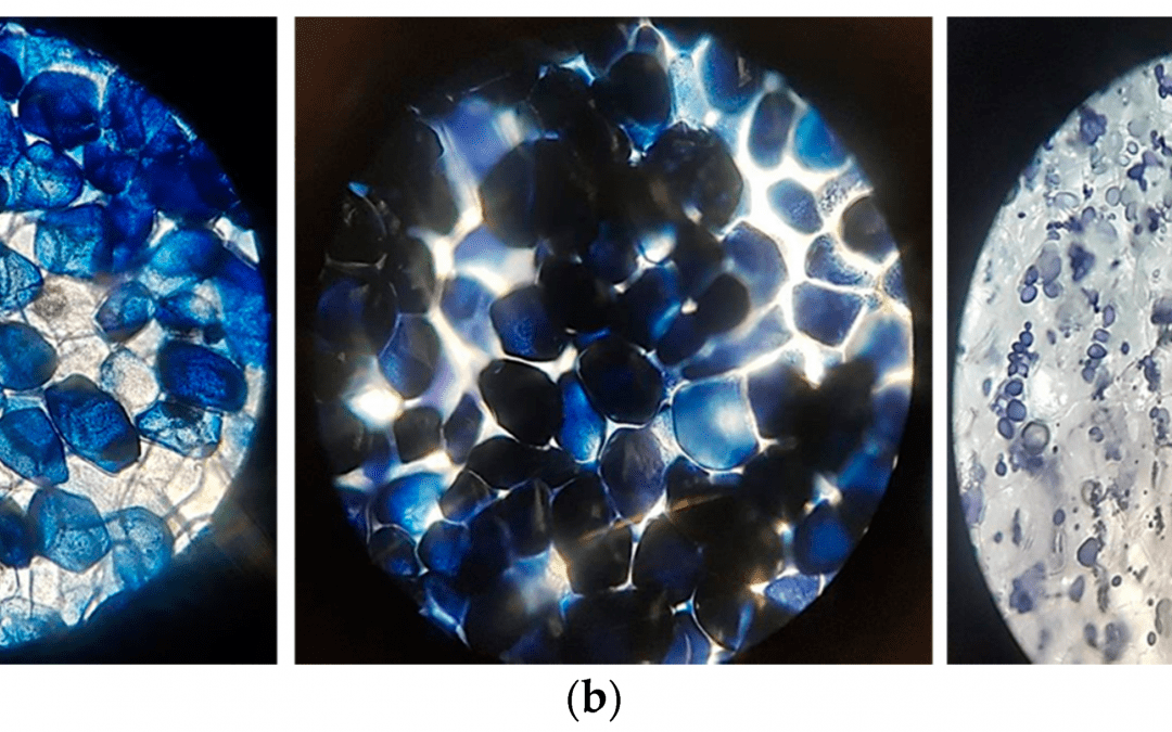 3D Printing with Food: Assessing Mechanical and Rheological Properties of Potato Puree