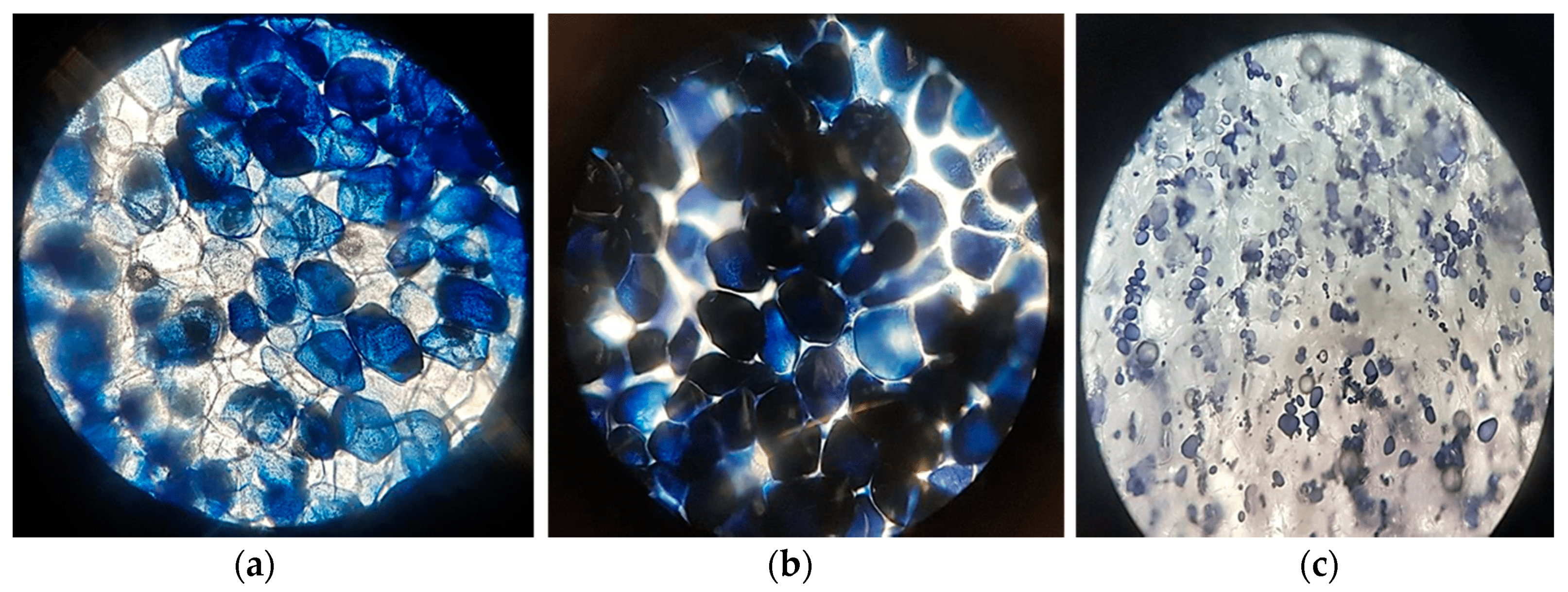 3D Printing with Food: Assessing Mechanical and Rheological Properties of Potato Puree