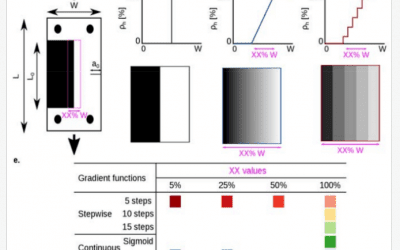Multi-Material 3D Printing: Testing Graded Bio Inspired Composites
