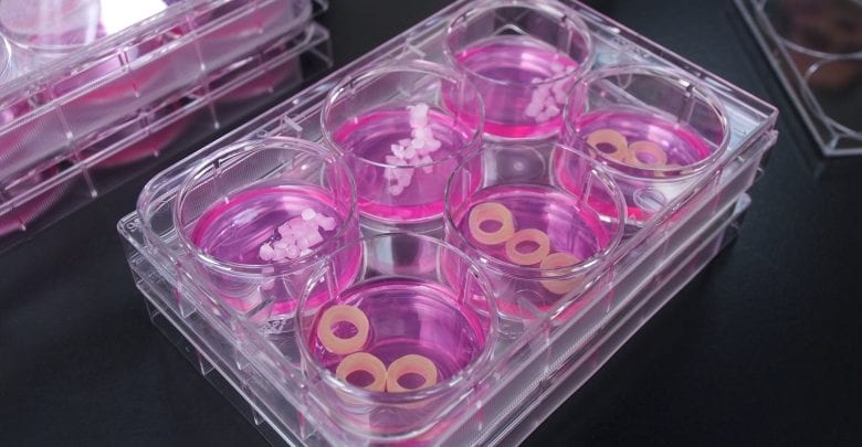 Testing 3D printed medical devices for biocompatibility