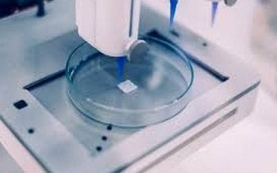 Study maps future direction of bioprinting research