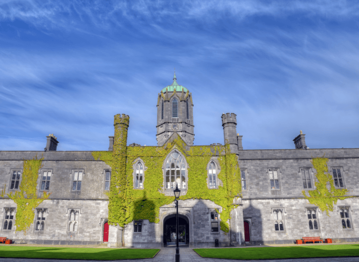 Loci Orthopaedics to explore 3D printing for medtech with NUI Galway