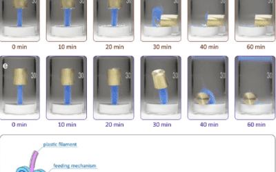 3D Printed Polymers: Solvent Compatibility Charts Must Be Dedicated Rather Than Simple