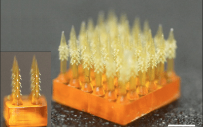 Bioinspired microneedle patch has more sticking power