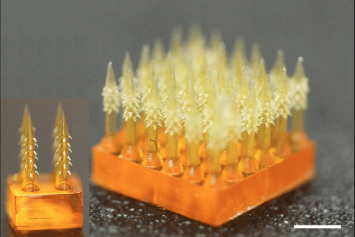 Bioinspired microneedle patch has more sticking power