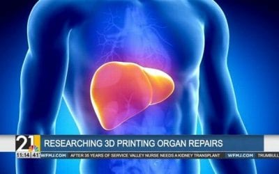 Research underway to 3D print segments of an organ and tissue inside the body