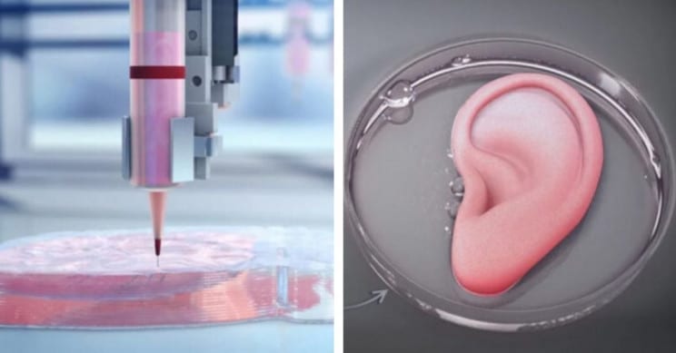 The Science Fiction World of 3D Printed Organs