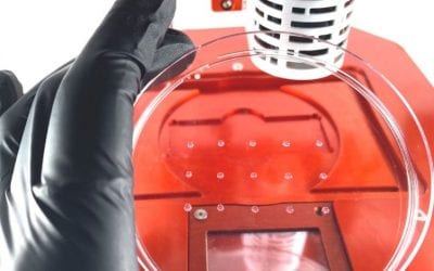 Allevi works with Corning Life Sciences to develop Matrigel matrix bioink