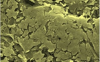 Biomaterials could soon create tissue like blood vessel structures