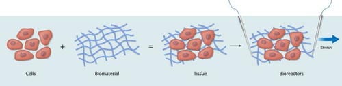 The Progress & Ongoing Challenge of 3D Bioprinting Cardiac Tissue