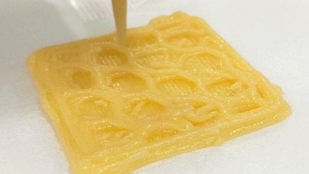 3D Printing Foods With Complex Designs Can Trick Diners Into Eating Less While Still Feeling Full