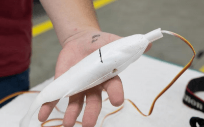 ORNL Scientists Make Fake Fish with 3D Printing and Sensors to Research Environmental Impact of Hydropower Dams