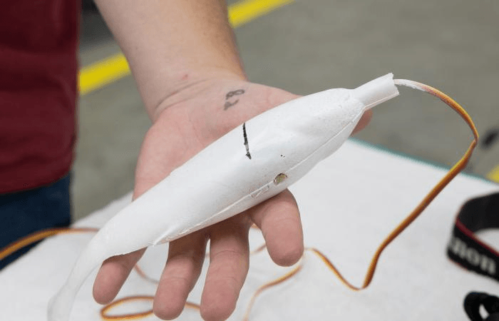 ORNL Scientists Make Fake Fish with 3D Printing and Sensors to Research Environmental Impact of Hydropower Dams