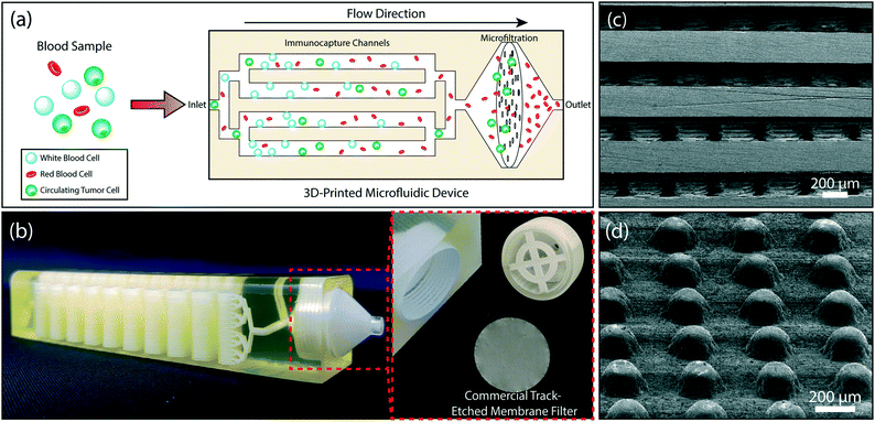 3D Printed Monolithic Device Acts as Trap to Isolate Cancer Cells