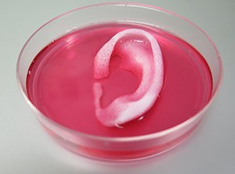 3D-printed mini-organs may provide safe testing of COVID-19 therapies