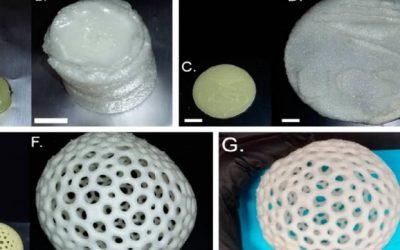 Researchers Develop 3D Printed Foam That Expands 40 Times Its Volume