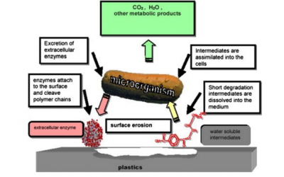 3D Printing with Bioplastics: Engineering Biodegradable PHA Blends