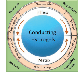 Denmark: 3D Printing Conductive Hydrogels for Medical Applications