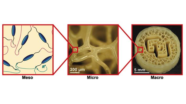 3D-printed ‘cartilage’ could be used for spinal implants