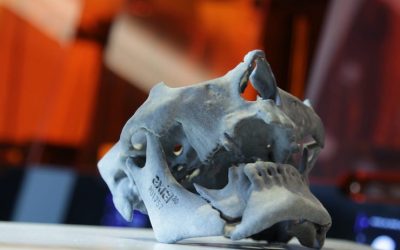 Fast Radius and Axial3D announce anatomical model 3D printing partnership