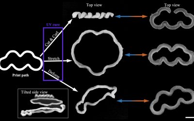 4D Printing May Lead to Biomedical Implants that Reconfigure Themselves upon Demand