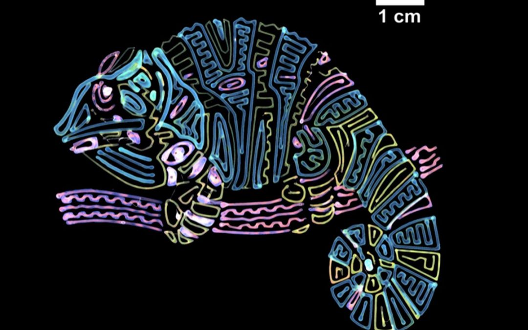 Fast, Colorful 3D Printing by Mimicking Chameleons at the Nanoscale