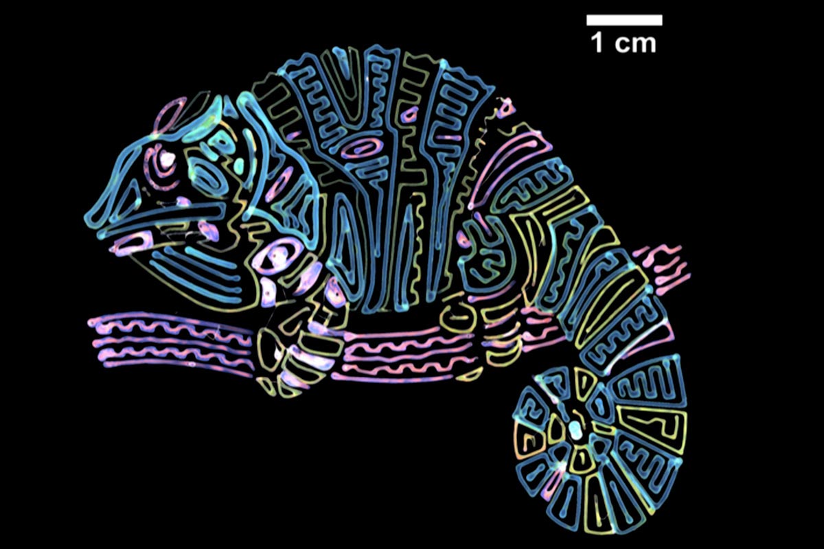 Fast, Colorful 3D Printing by Mimicking Chameleons at the Nanoscale