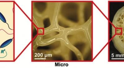 A 3D-Printable Material That Mimics Biological Tissues