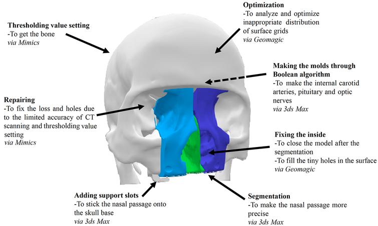 3D-Printed Models for Training & Planning of Endoscopic Pituitary Surgery