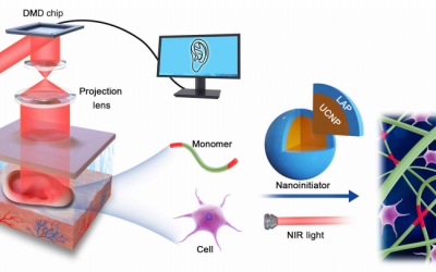 In Vivo Bioprinting Made Possible with Digital Near-infrared Photopolymerization