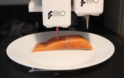 Felixprinters Assists In Commercialization Of Vegan-Friendly 3D Printed Salmon