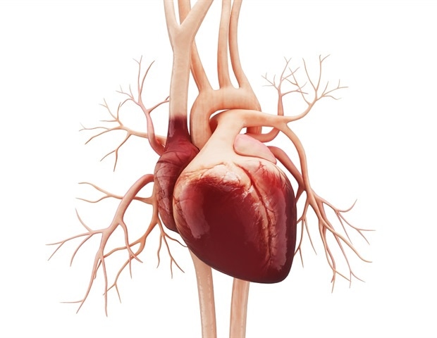 Researchers 3D-print a functioning human heart pump in the lab