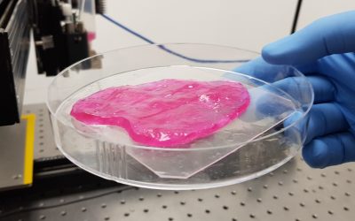 Meat-Tech 3D Successfully Produces 3D Printed Animal-free Meat from Stem Cells