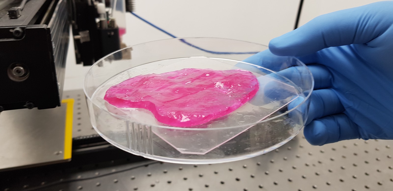 Meat-Tech 3D Successfully Produces 3D Printed Animal-free Meat from Stem Cells