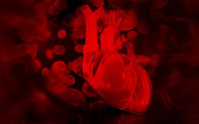 3D printing technique differentiates stem cells into heart cells