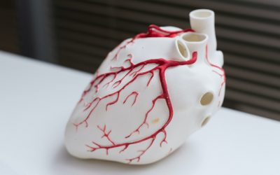 3D printed devices set to revolutionise the study of cardiovascular diseases