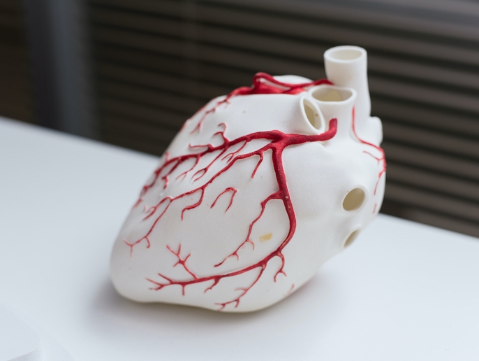 3D printed devices set to revolutionise the study of cardiovascular diseases