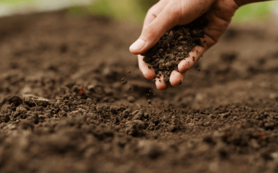 3D Printing with Local Soil: The Next Step for the Construction Industry