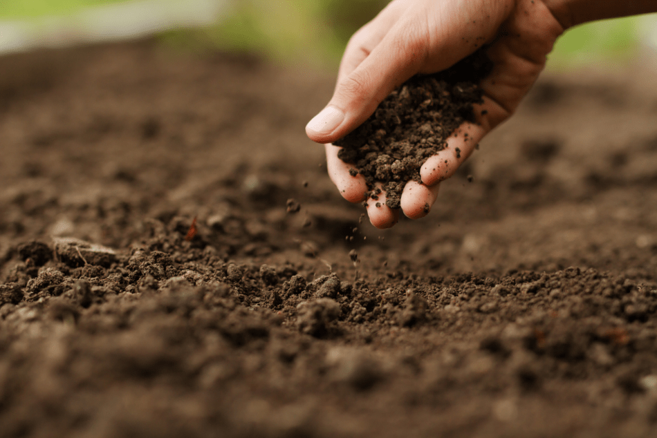 3D Printing with Local Soil: The Next Step for the Construction Industry