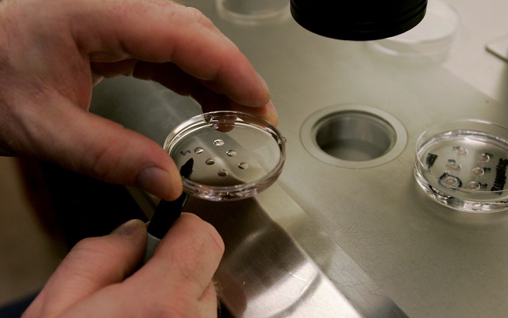 Bioprinting Method Improves Efficiency in In Vitro Fertilization