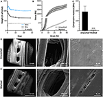 3D Printed Polyurethane Scaffolds for the Repair of Bone Defects