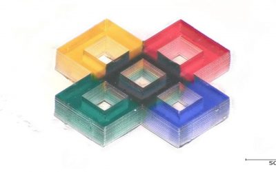 New 3D Printing Method for Multicolor Microstructures