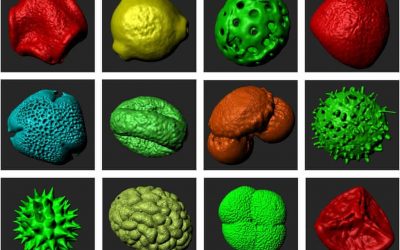 Not to be sneezed at: how 3D printing is supersizing the tiny world of pollen