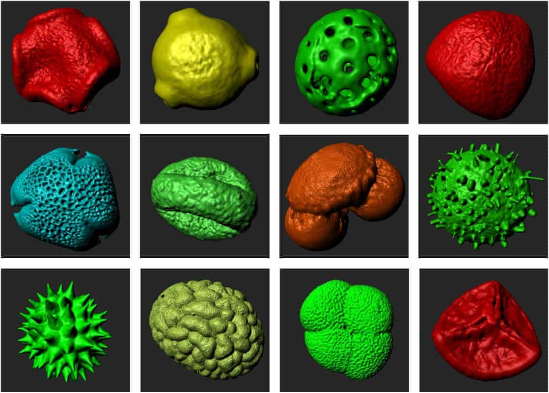 Not to be sneezed at: how 3D printing is supersizing the tiny world of pollen