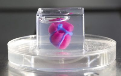 From 3D-printed Human Hearts to Healthy Pizza: Six Israeli Companies Developing Life-improving Ideas