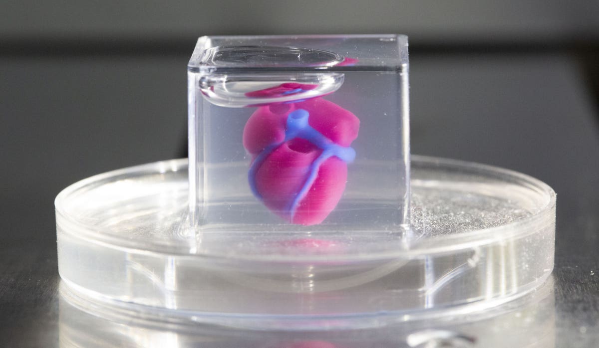 From 3D-printed Human Hearts to Healthy Pizza: Six Israeli Companies Developing Life-improving Ideas